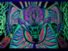 Psychedelic animals car window or wall decal 2