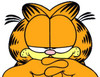 Garfield Color Sticker 3
