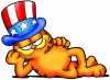 Garfield Stars and Stripes Hat