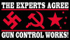 experts agree black gun control sticker