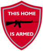 THIS HOME IS ARMED GUN CONTROL STICKER
