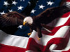 American Patriotic Eagle with USA Flag American Patriotic Eagle with USA Flag