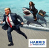 HARRIS 2024 POLITICAL STICKER SHARK