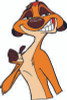 TIMON 11