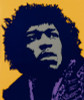 Jimi Hendrix Photo Decal 4