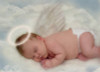 Angel Baby Photo Sticker