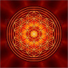 YOGA Flower of Life Color Sticker