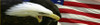 Patriotic with Eagle