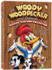 Woody Woodpecker Color Adhesive Vinyl Decal Sticker 2