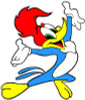 Woody Woodpecker Color Decal 2
