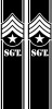 Military Sargent Badge side tail truck bed stripes graphic vinyl combo kit decals