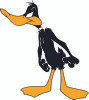 Daffy 04