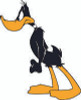 Daffy 07