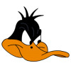 DAFFY HEAD
