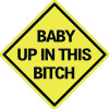 baby up in this bitch funny car sticker