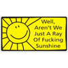 well arent we just a ray of fucking sunshine