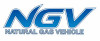 H Civic Natural Gas Vehicle Logo