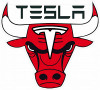 TESLA BULL COLOR TESLA STICKER
