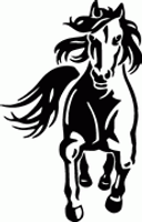 Horse Decals & Stickers