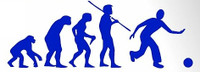 EVOLUTION SPORT DECAL STICKERS