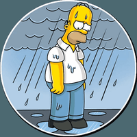 homer jay simpson 39
