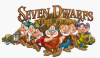 seven dwarfs mine train color sticker
