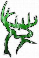 BC Deer - Lightning Green