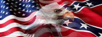Rebel Flag Eagle USA Flag Rebel Flag Eagle USA Flag