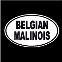 Belgian Malinois Oval Decal