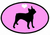Boston Terrier Decal PINK