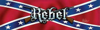 RWG rebel flag with guns rear window see thru graphic