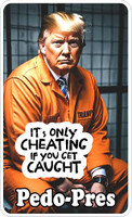 pedo-pres TRUMP caught cheating sticker 3