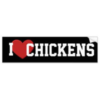 i love chickens bumper sticker