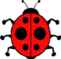 Ladybug Decals 3