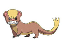 Pokémon yungoos