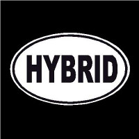 Hybrid Oval Decal