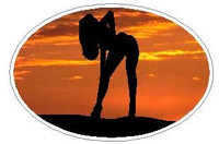 Oval Backside Stripper Decal 19