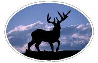 Oval Deer Buck Decal 06