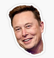 ELON MUSK SMILE STICKER