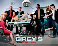 Greys Anatomy Tv Show 2