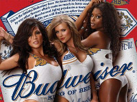 Budweiser Beer Girls Budweiser Beer Girls
