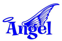 Angel Text with Wings Decal