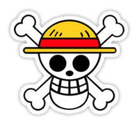 cool skull color sticker