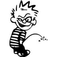 ADD NAME Crazy Calvin Peeon Decal