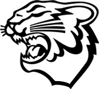 Arctic Cat Logo Diecut Racing Decal