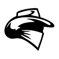 cowboy outlaw diecut decal