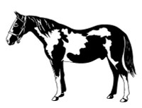 Horse Diecut cowboy western decal 46