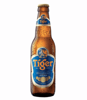 Tiger Beer Bottle Sticker