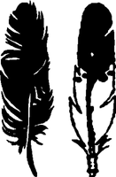Feather vinyl stickers 784