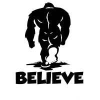 Believe Bigfoot Laptop Car Truck Vinyl Decal Window Sticker Believe Bigfoot Laptop Car Truck Vinyl Decal Window Sticker